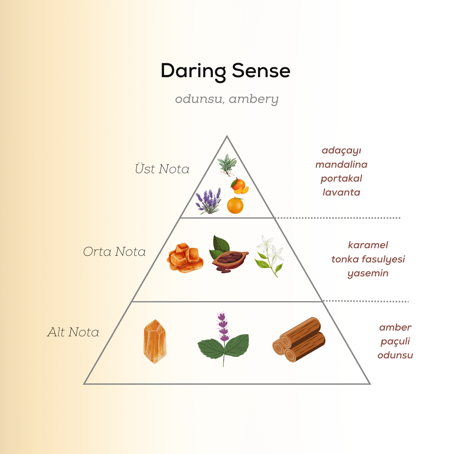 Daring Sense Erkek Parfümü EDP 100 ml