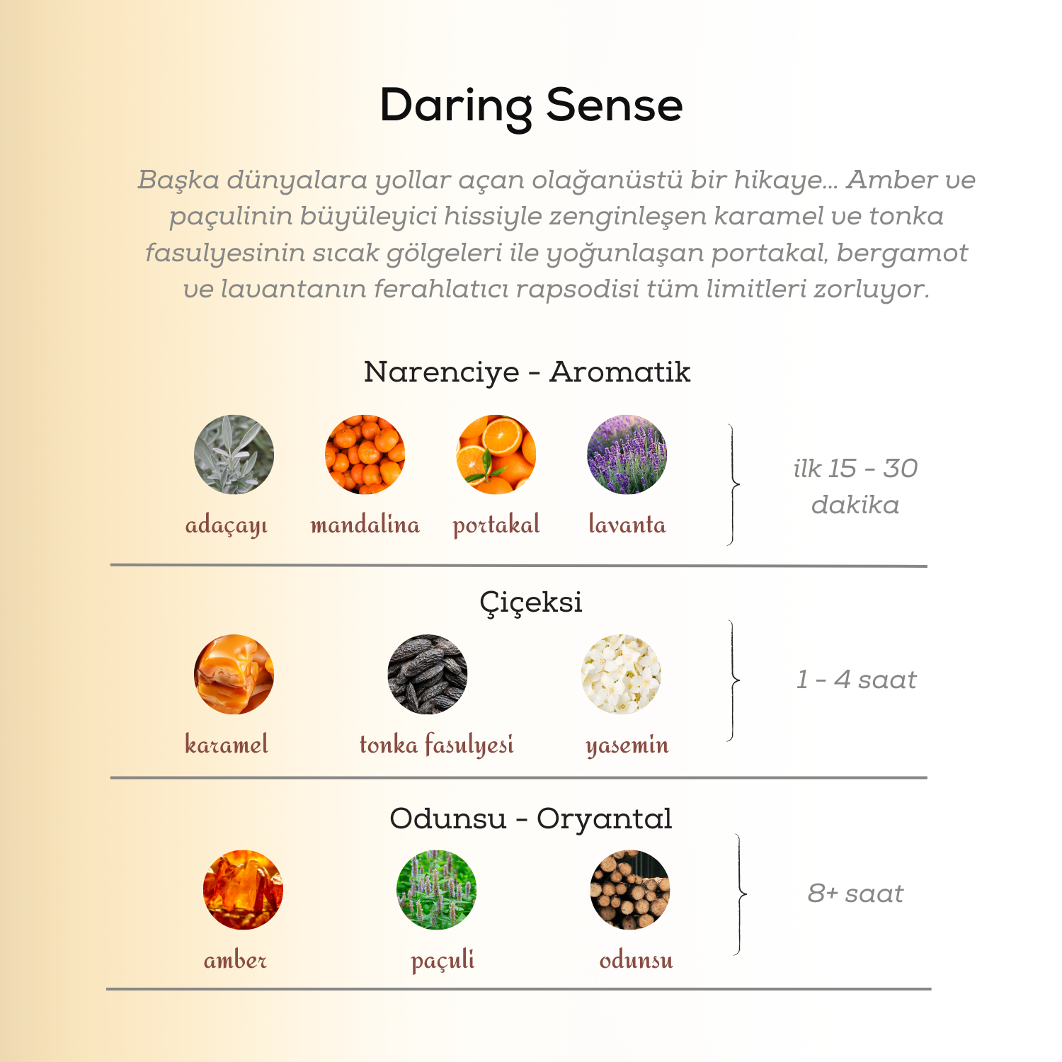 Daring Sense Erkek Parfümü EDP 100 ml