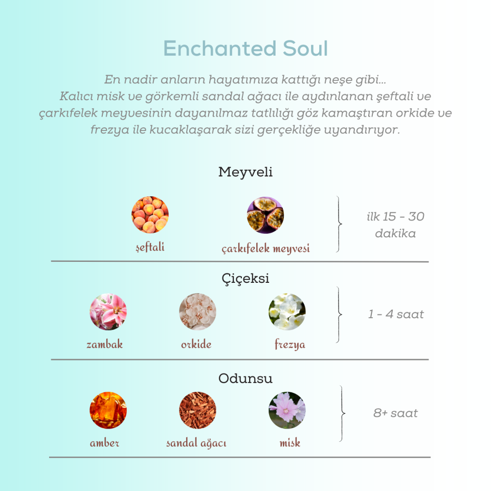 Enchanted Soul Erkek Parfüm EDP 100 Ml