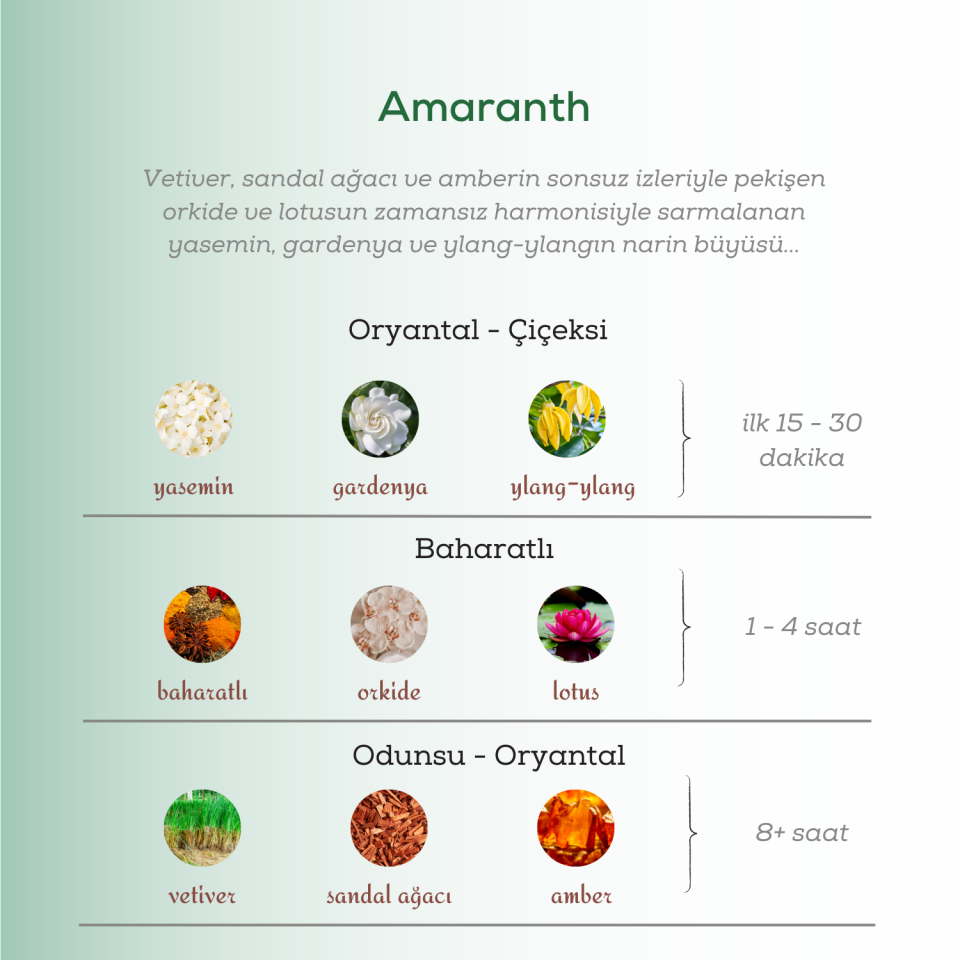 Amaranth Edp Erkek Parfüm 50ml | Odunsu Ve Oryantal | Gardenya, Ylang Ylang, Lotus, Vetiver, Amber