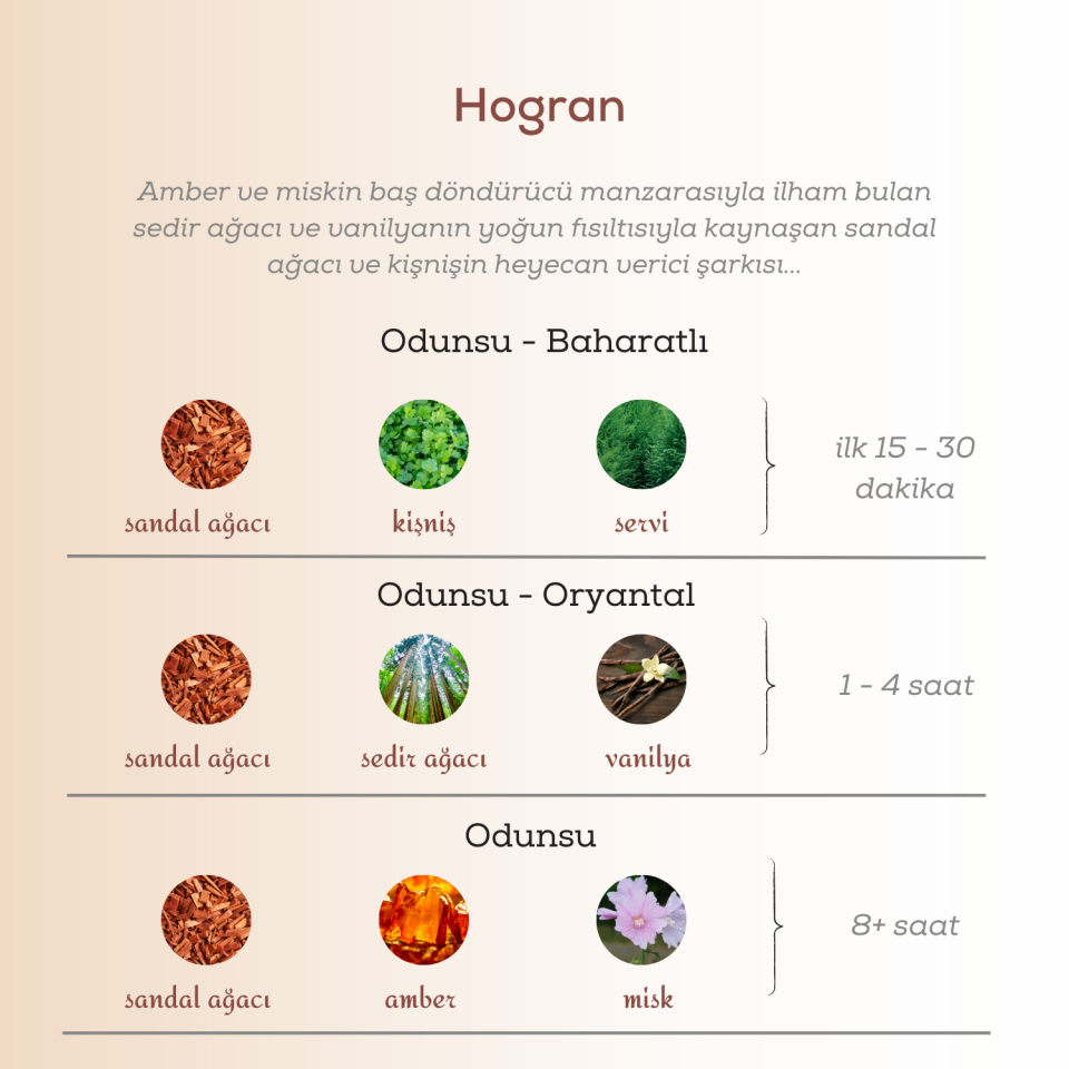Hogran Edp Erkek Parfüm 50ml | Odunsu Ve Amber | Sedir Ağacı, Kişniş, Servi, Vanilya, Amber, Misk