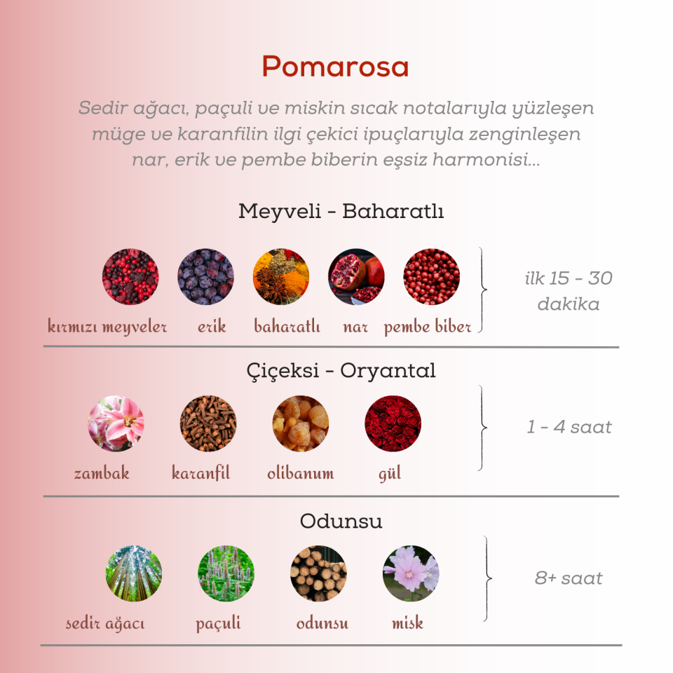 Pomarosa Edp Kadın Parfüm 50ml | Meyveli Ve Baharatlı | Nar, Erik, Pembe Biber, Zambak, Sedir, Misk